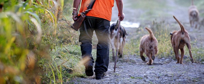 Ouverture Saison chasse 2020/2021